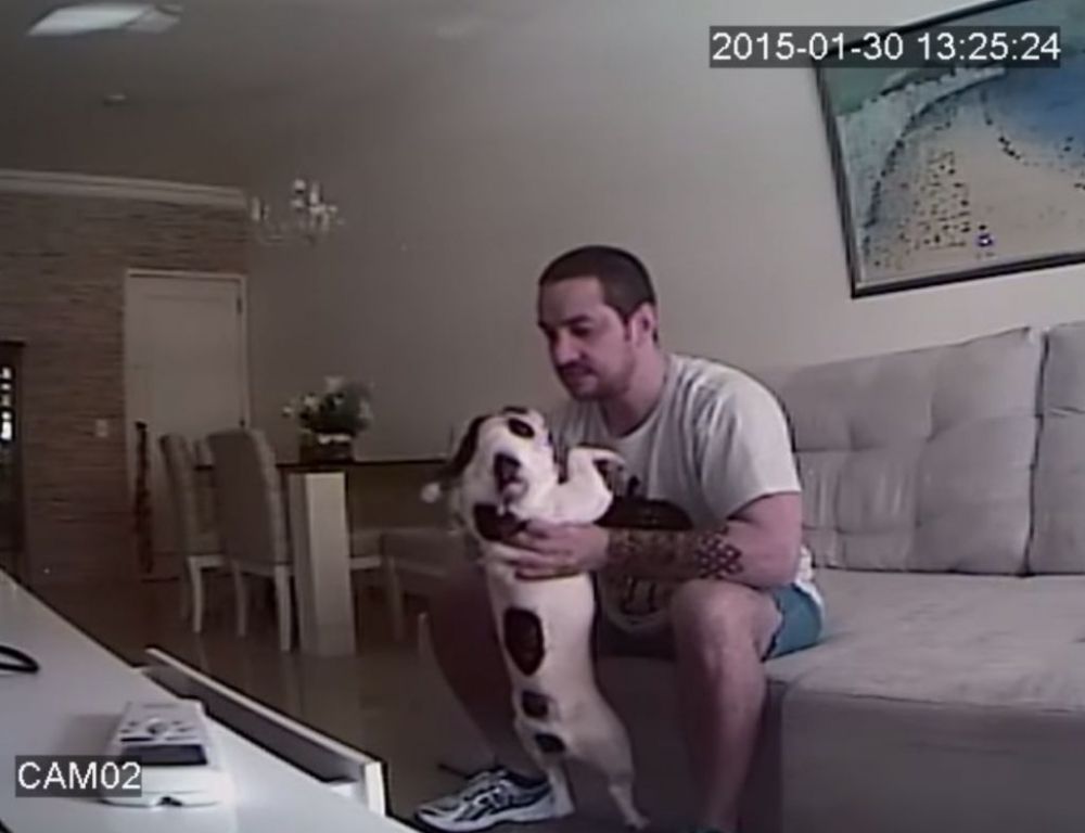 Maltrato animal