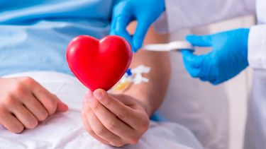 Donante de Médula Ósea: preguntas frecuentes