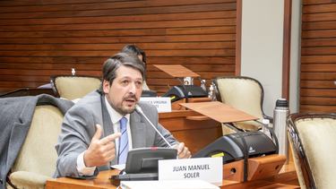 Diputado Juan Soler.