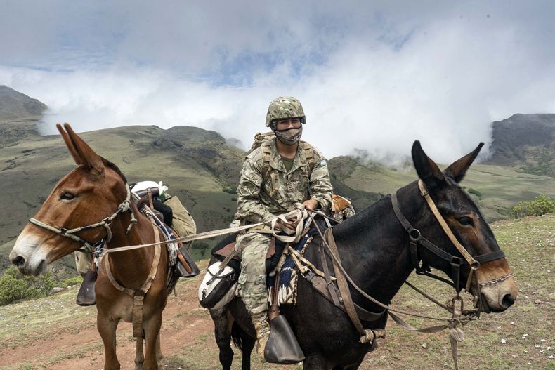 La urna de camino a Alto Calilegua (Foto: Télam)