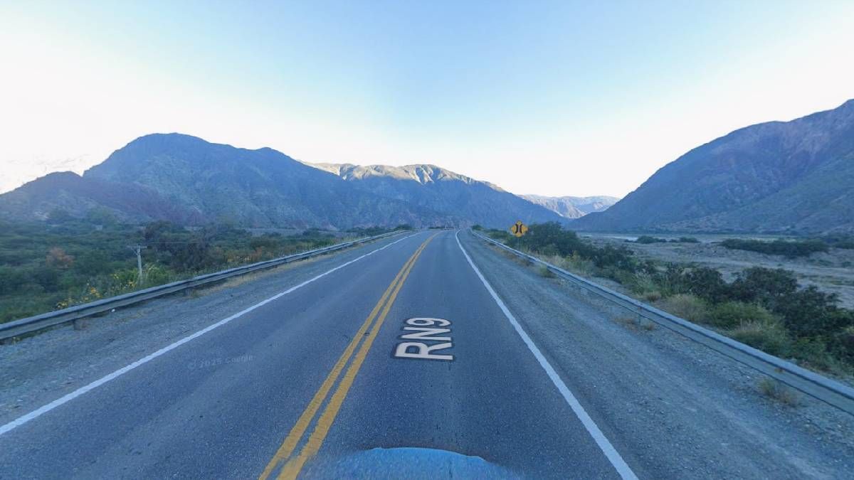 en tumbaya un auto choco contra animales sobre la ruta 9: hay heridos