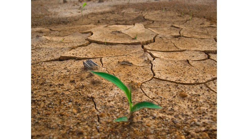 Calentamiento global