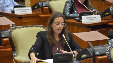 Sesión en la Legislatura: diputada Gisel Bravo.