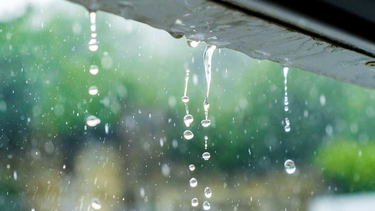 Clima en Jujuy: el pronóstico del tiempo para el 22 de diciembre