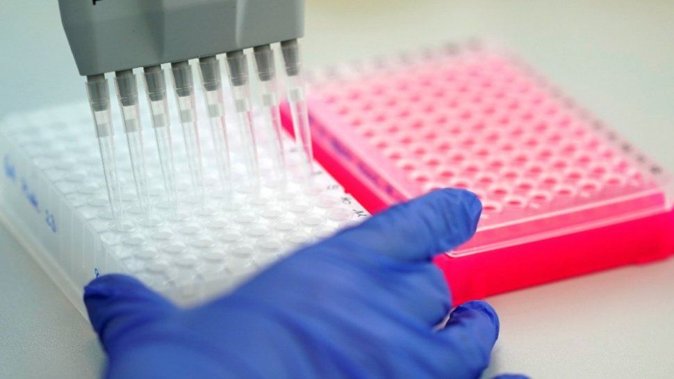 Estados Unidos autorizó el uso de un anticuerpo monoclonal llamado Sotrovimab para pacientes leves y moderados con Covid-19.