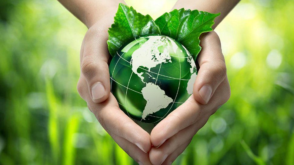 Conoce por qué hoy se celebra el Día Internacional del Medio Ambiente