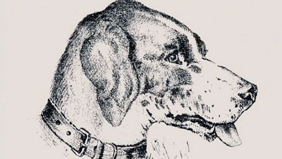 El desafío del siglo XIX aún vigente