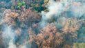 REPORTE DE INCENDIOS FORESTALES REPORTE DE INCENDIOS FORESTALES