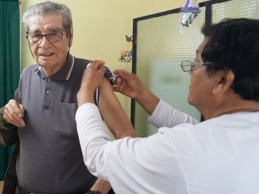 Vacunas antigripales