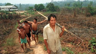 Brasil: la Policía investiga el genocidio de indígenas.&nbsp;