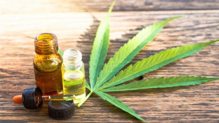 Cannabis medicinal. /Imagen ilustrativa.