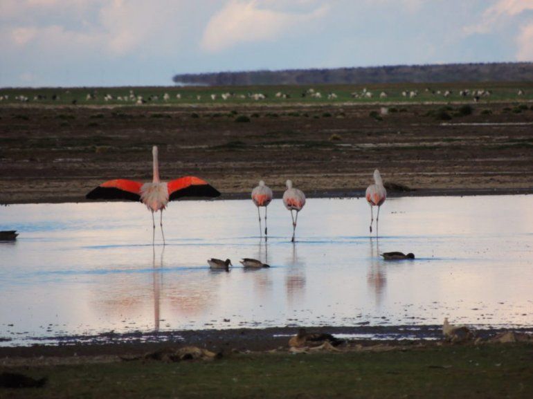 Jujuy Lagunas Altoandinas