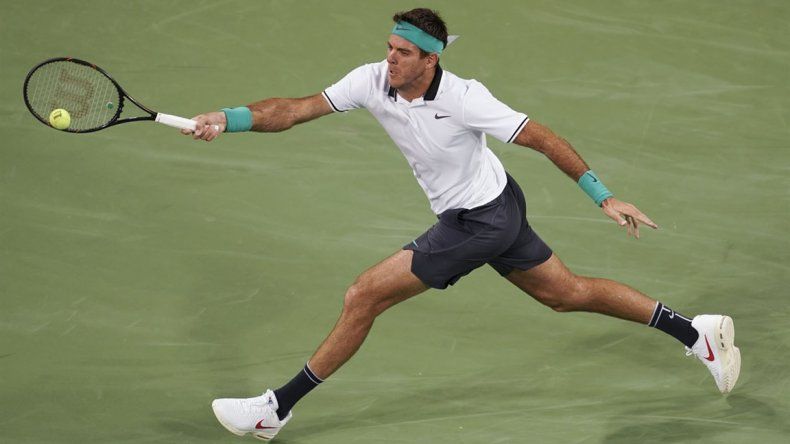 Del Potro cayó ante Goffin y se despidió del Masters 1000 de Cincinnati