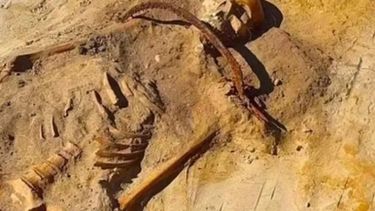 El hallazgo del niño vampiro tuvo lugar en Polonia.