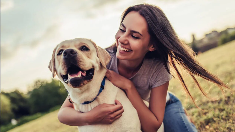 Por qué mi mascota quiere a otra persona menos a mí.&nbsp;