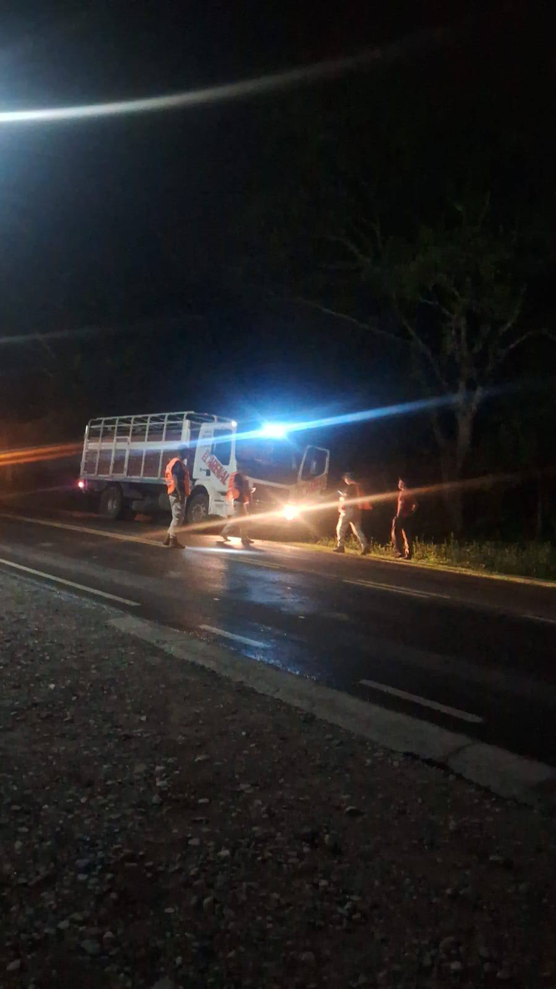 Secuestran 15 animales y demoran a dos personas por documentación falsa en Ruta 8