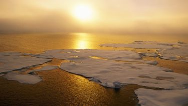 La temperatura media del planeta Tierra aumentará 1,5º C hacia 2030-2035, informan expertos.