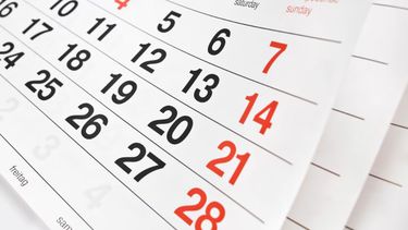 Feriados de 2025: cuándo es el próximo y cuántos quedan en lo que resta del año.