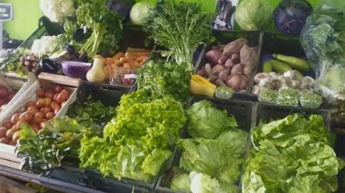 Todo Jujuy | verduras.jpg