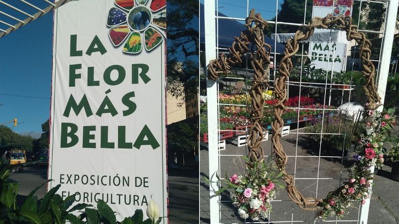 La feria de La flor más bella se realiza en avenida 19 de Abril de San Salvador de Jujuy.