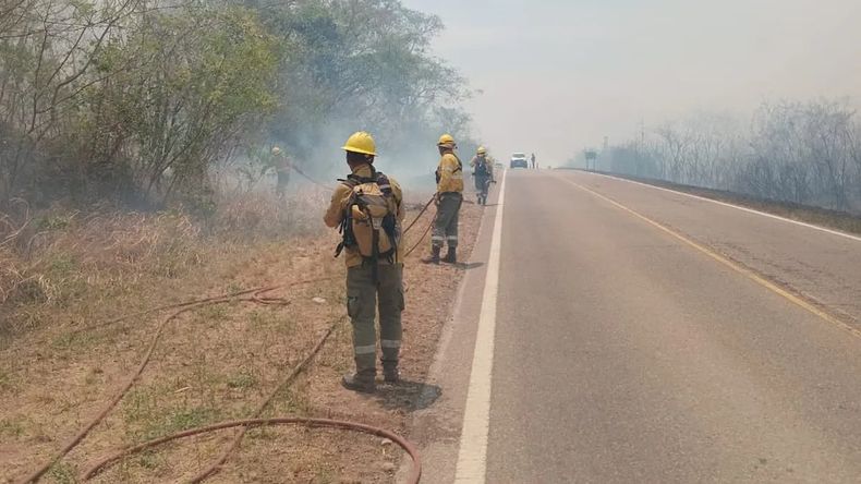 Los incendios en Ledesma afectaron a más de 1500 hectáreas