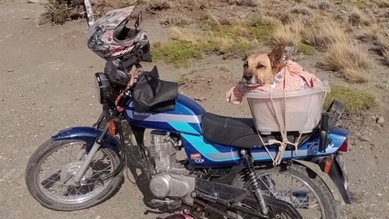 Sebastián y su perro Carpu por la Ruta 40
