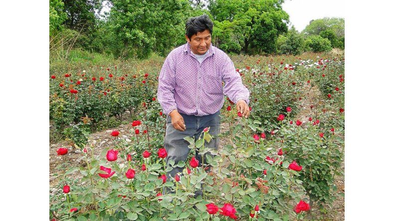 Floricultor local