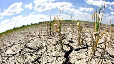 El cambio climático es una amenaza que podría conducir a un futuro alarmante y angustiante, informa la ONU.