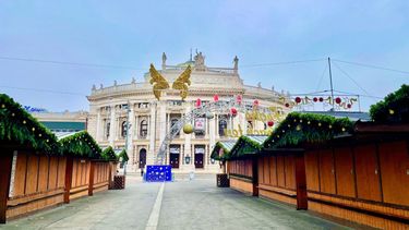 Austria entró desde este día en una nueva etapa de confinamiento para enfrentar el Covid-19.