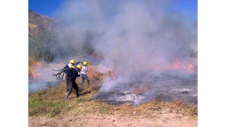 Bomberos en acción
