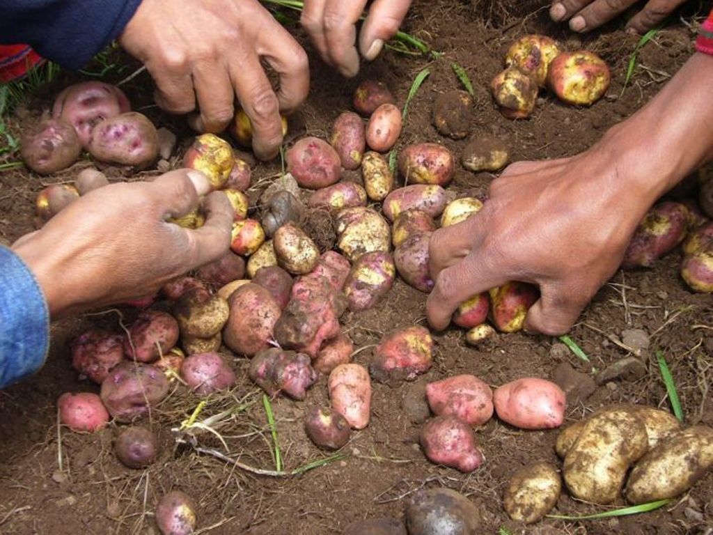 Productos de la Quebrada