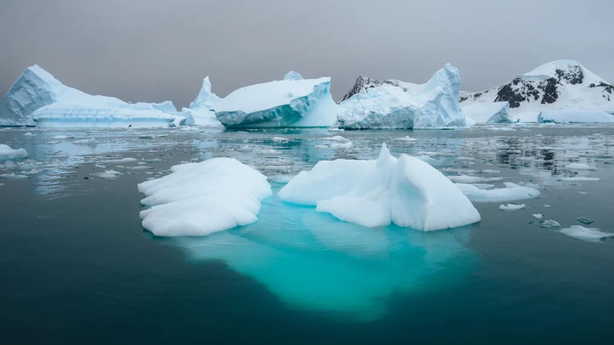 Preocupación en los expertos por la pérdida de hielo en la Antártida.