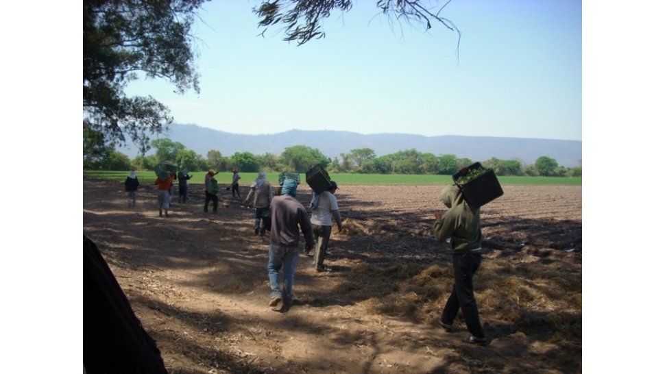 Finca El Pongo