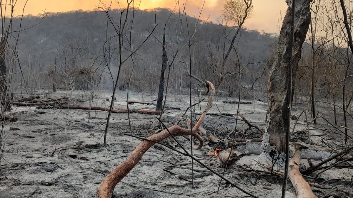 incendios forestales: se habilito la ruta 34 con precaucion
