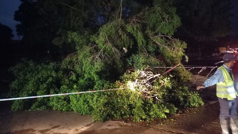 Feroz temporal de viento, lluvia y granizo golpeó Libertador