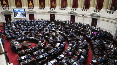 Convocaron a sesiones extraordinarias en el Congreso: el temario