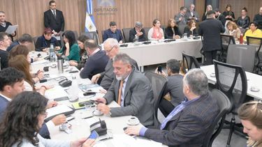 Caso ANDIS: el ministro de Salud y el titular de Agencia de Discapacidad no se presentaron en Diputados