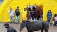 Se realizó la subasta de animales