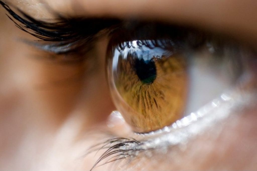 Color de los ojos