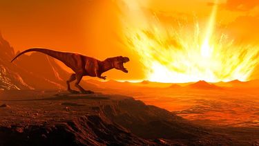 El impactó que acabó con los dinosaurios tuvo lugar en México.
