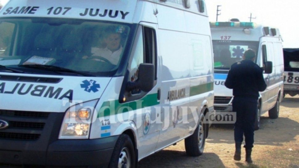 Fatalidad: Cayó Un árbol Sobre La Ruta Y Mató A Un Joven