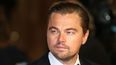 Netflix es consciente de que DiCaprio atrae a grandes multitudes.