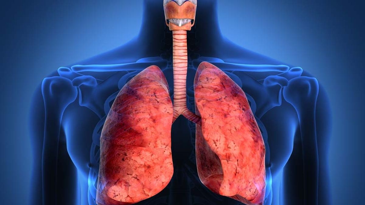 ¿Cómo limpiar los pulmones de nicotina y otros derivados?