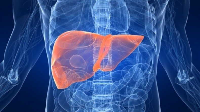 Controles periódicos son esenciales para prevenir el cáncer de hígado