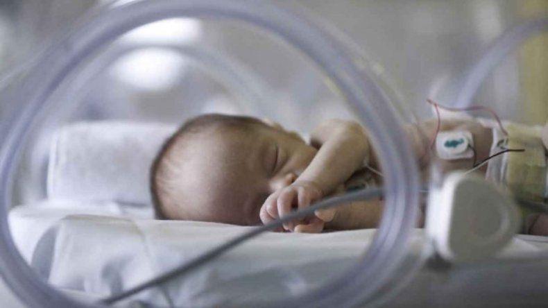 Un caso inédito: una mamá dio a luz a dos pares de gemelos en Entre Ríos