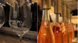 Antropo Wines: la primer bodega de vinos espumantes de Jujuy.