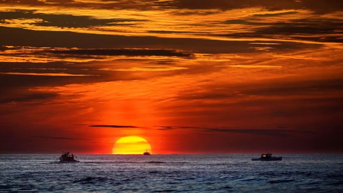 Cambio climático: los océanos alcanzaron un récord de temperatura en junio y crece la alarma científica
