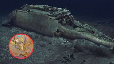 Hallaron en los restos del Titanic lo que podría ser un collar de oro hecho con el diente de un tiburón megalodón.
