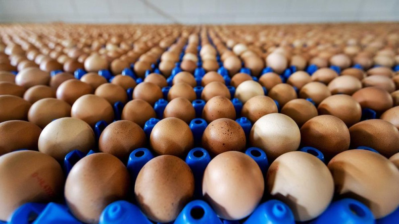 Huevos.