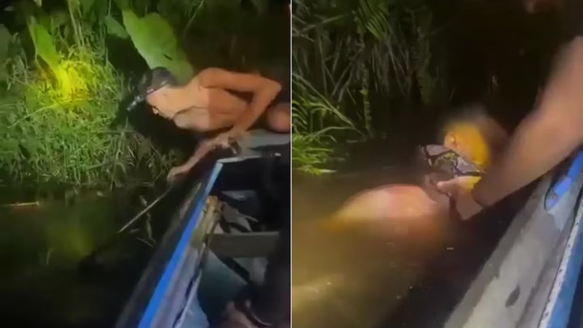Quiso buscar un pez y casi es devorado por una anaconda.